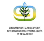 ministere-qwj7wre0x1l856flqgm6vgvteqfm3nfhjjkfz9azg8