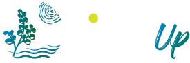 Tounes Cleanup