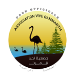 vive-gammarth